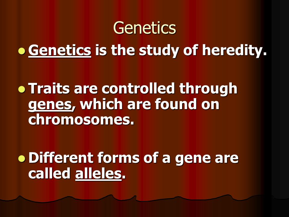Genetics Genetics is the study of heredity. Genetics is the study of heredity.