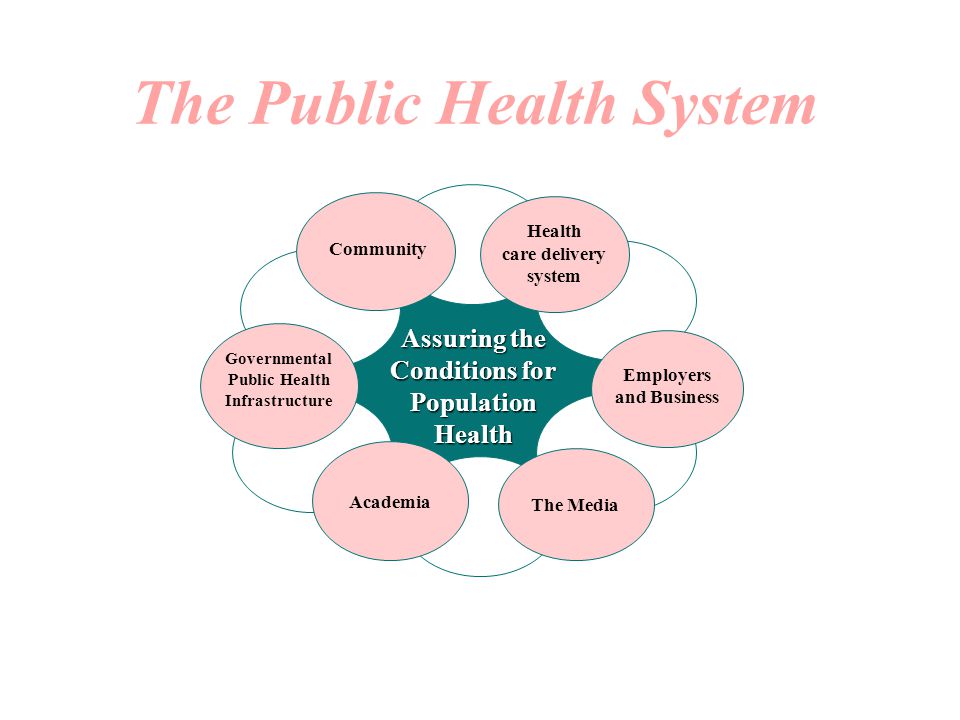 The Public Health System Assuring the Conditions for Population Health Employers and Business Academia Governmental Public Health Infrastructure The Media Health care delivery system Community