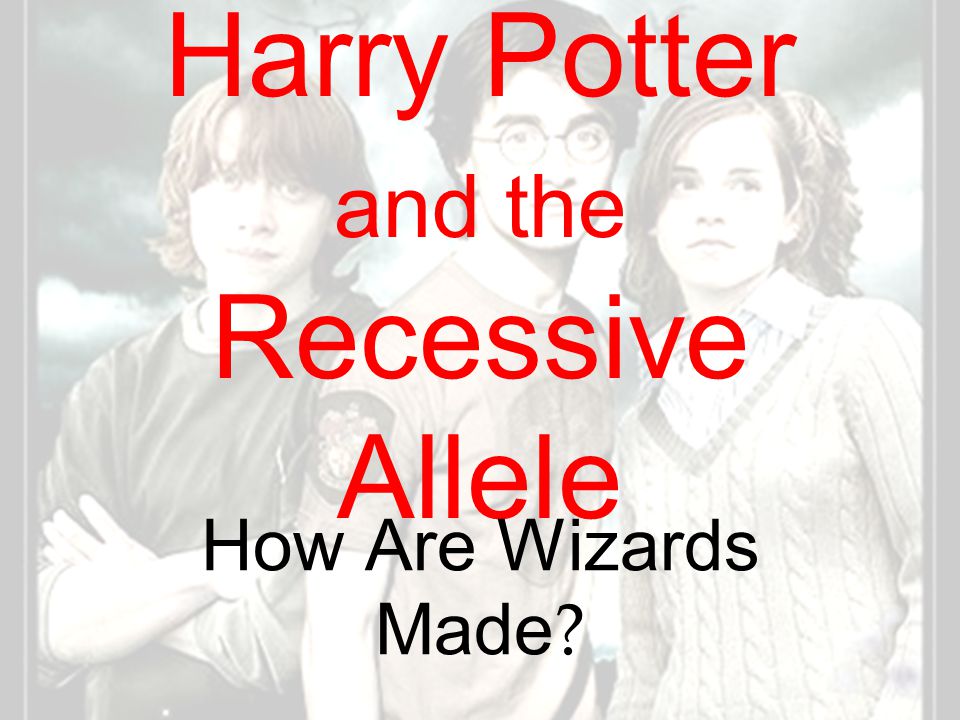 Harry Potter and the Recessive Allele How Are Wizards Made