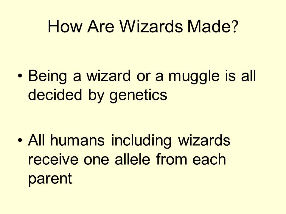 Being a wizard or a muggle is all decided by genetics All humans including wizards receive one allele from each parent