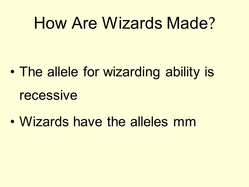 How Are Wizards Made The allele for wizarding ability is recessive Wizards have the alleles mm