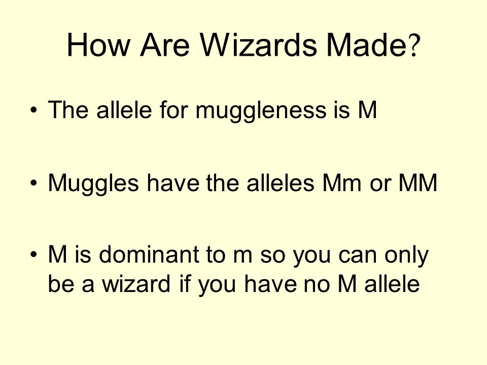 How Are Wizards Made .