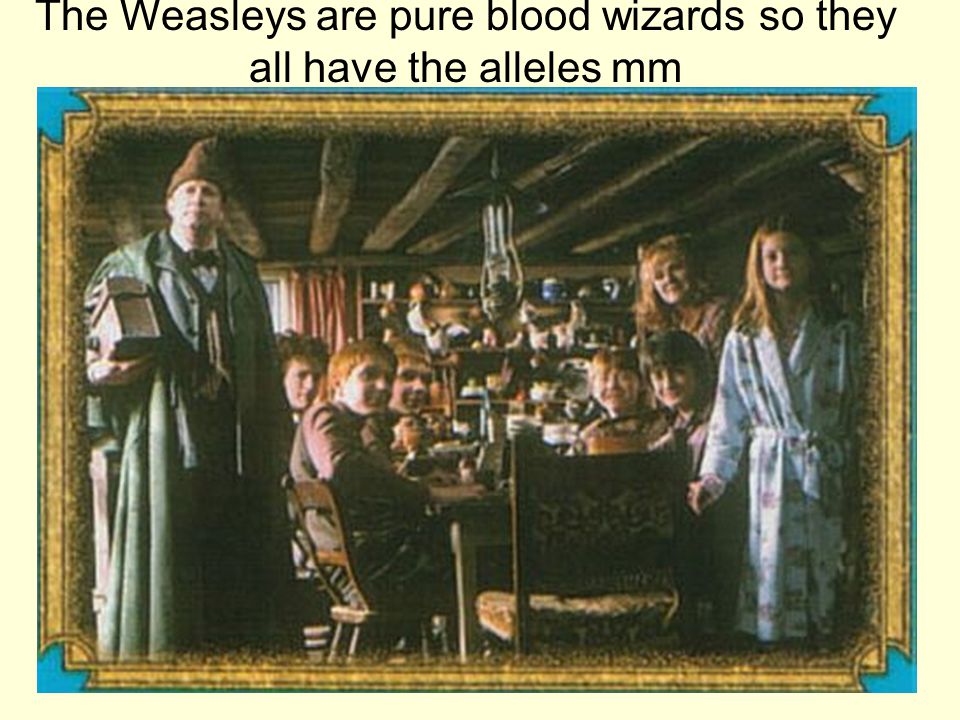 The Weasleys are pure blood wizards so they all have the alleles mm