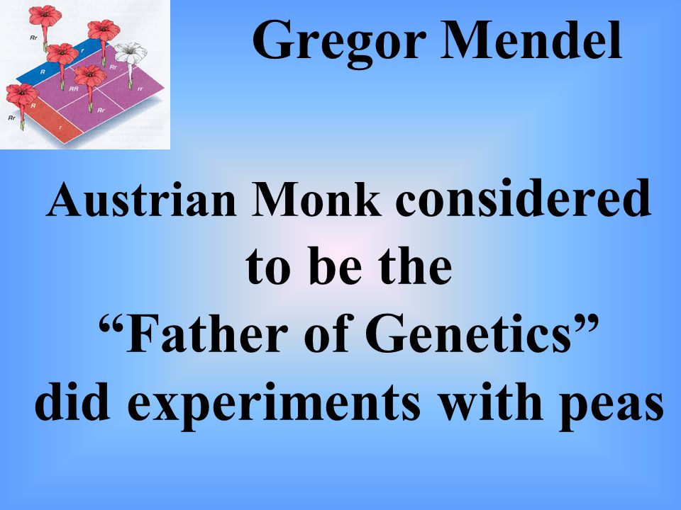 Austrian Monk c onsidered to be the Father of Genetics did experiments with peas Gregor Mendel