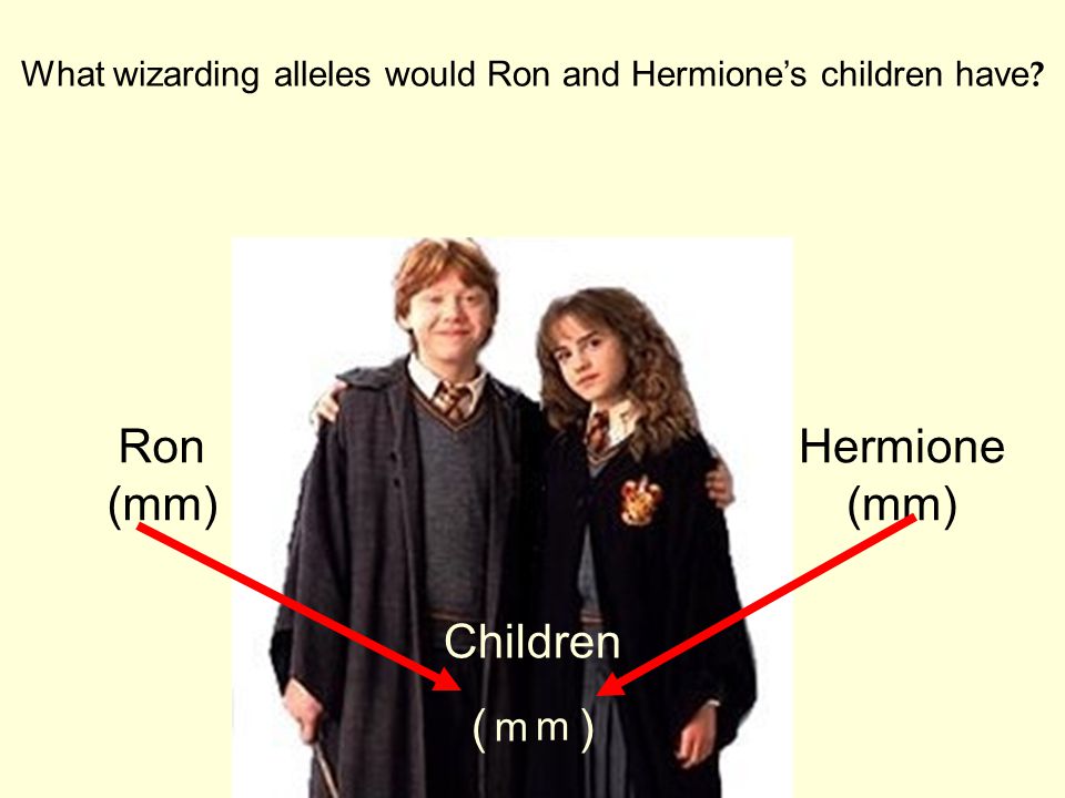 What wizarding alleles would Ron and Hermione’s children have .