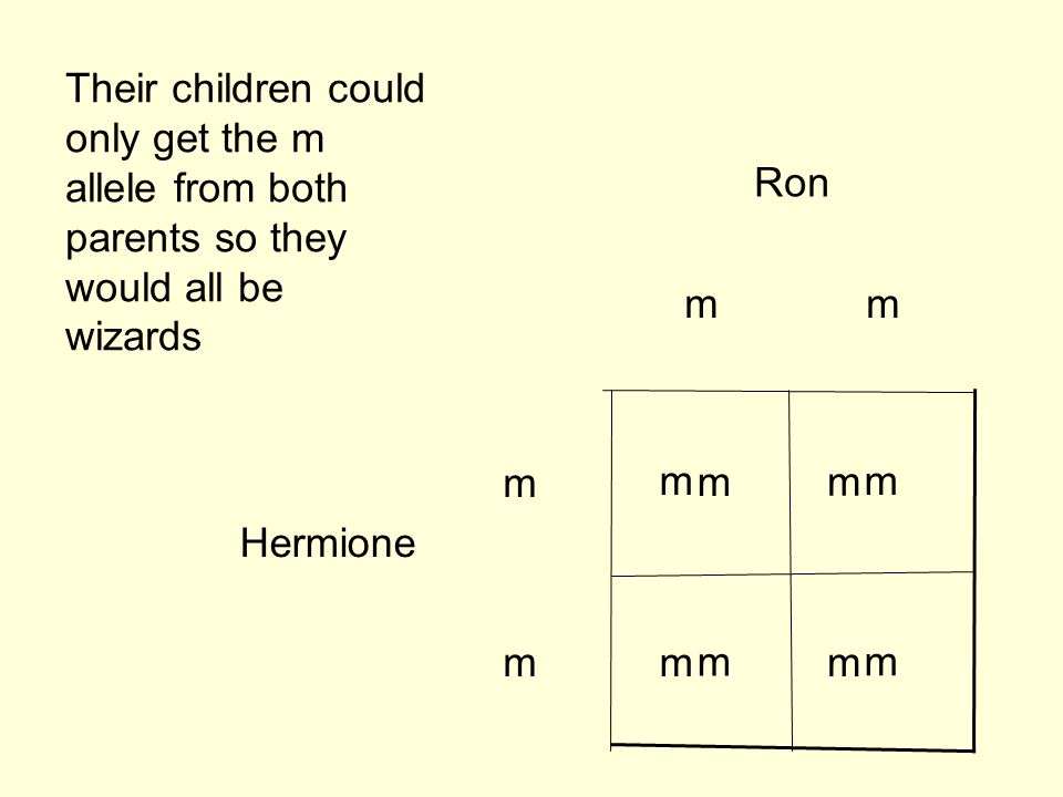 m m Hermione mm Ron Their children could only get the m allele from both parents so they would all be wizards m m m m m m m m