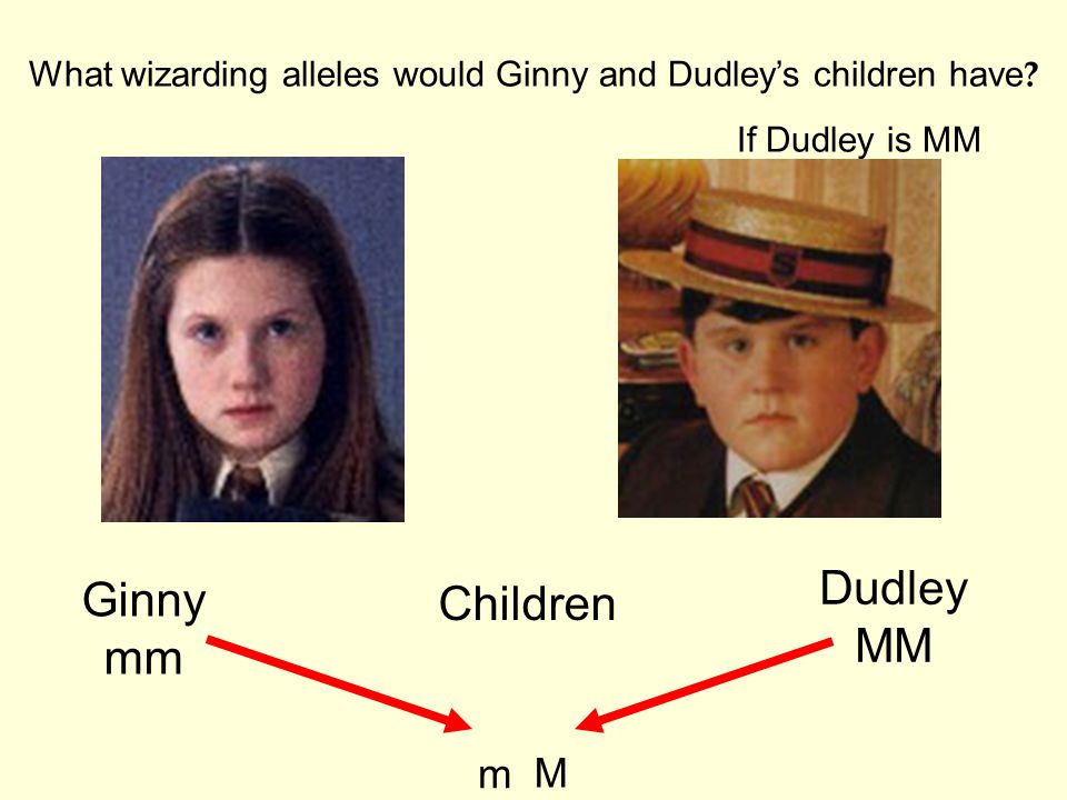 What wizarding alleles would Ginny and Dudley’s children have .