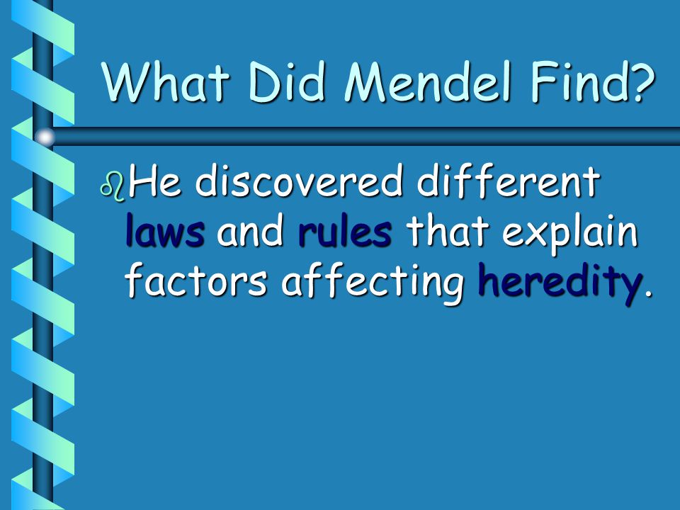 What Did Mendel Find.