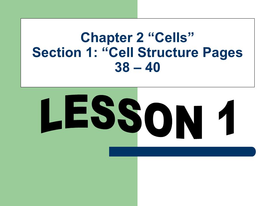 Chapter 2 Cells Section 1: Cell Structure Pages 38 – 40