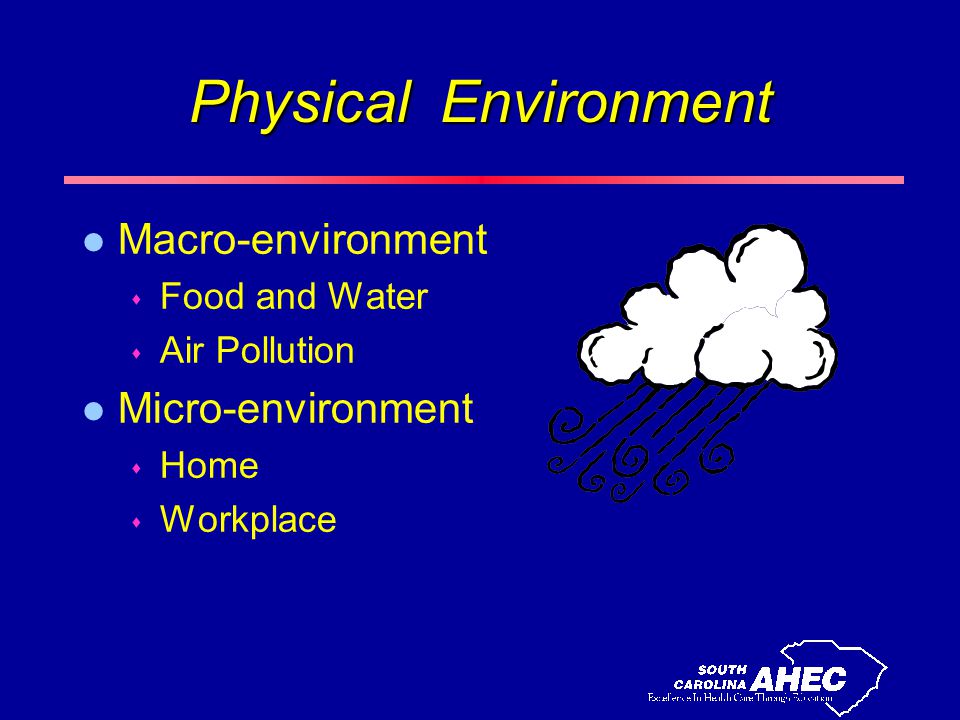 Physical Environment l Macro-environment s Food and Water s Air Pollution l Micro-environment s Home s Workplace
