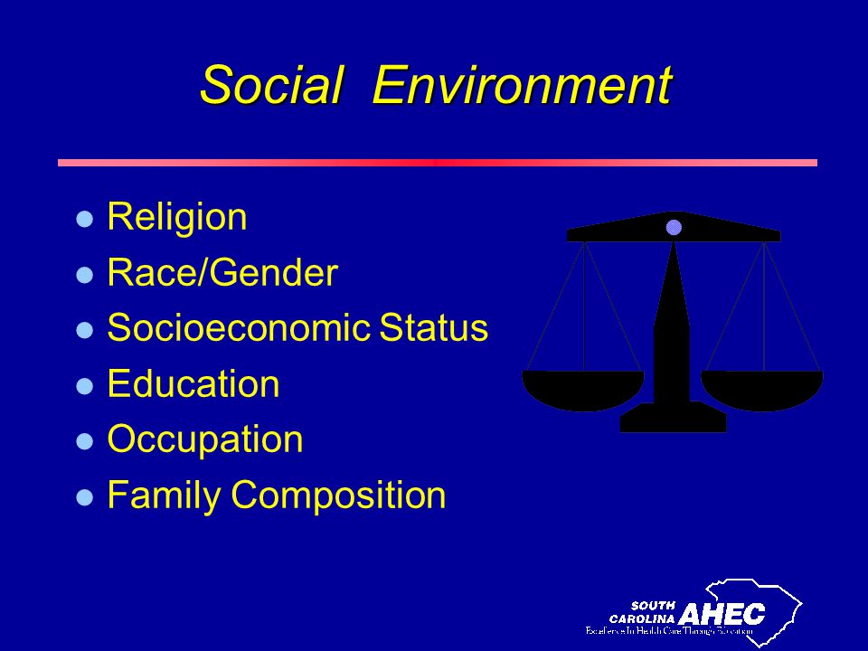 Social Environment l Religion l Race/Gender l Socioeconomic Status l Education l Occupation l Family Composition