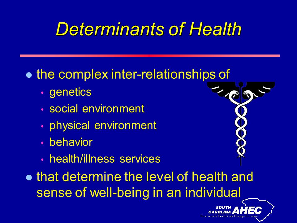 Determinants of Health l the complex inter-relationships of s genetics s social environment s physical environment s behavior s health/illness services l that determine the level of health and sense of well-being in an individual