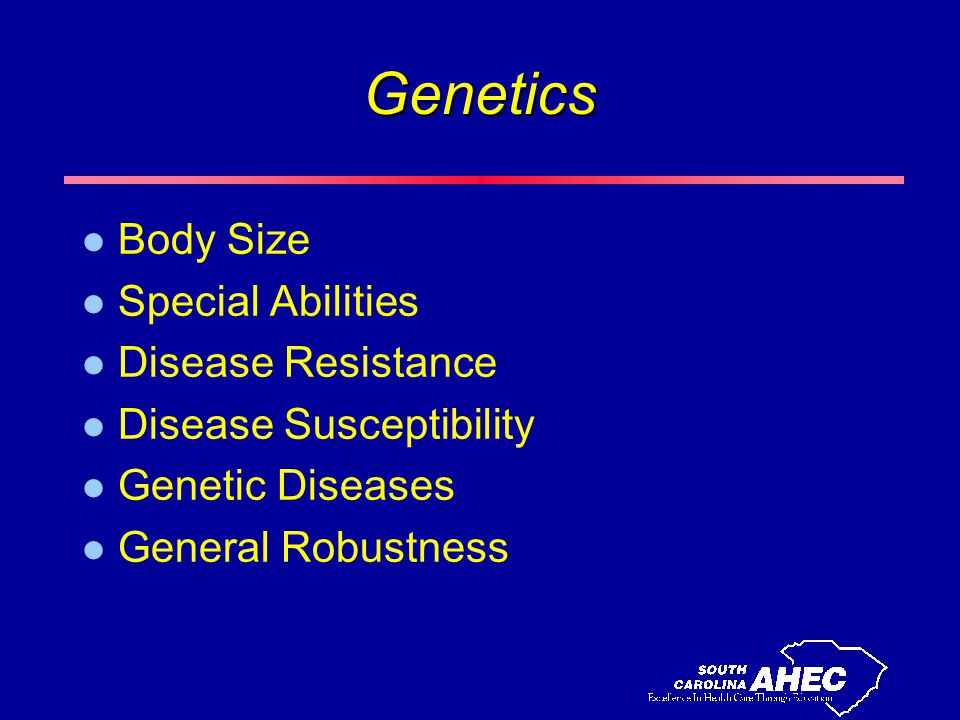 Genetics l Body Size l Special Abilities l Disease Resistance l Disease Susceptibility l Genetic Diseases l General Robustness