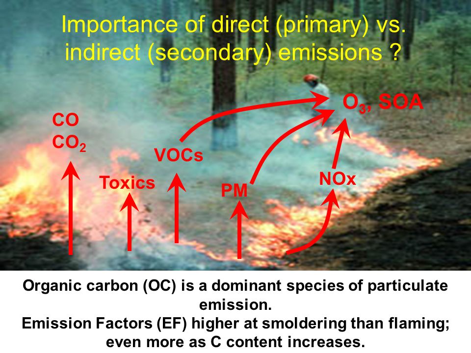 Importance of direct (primary) vs. indirect (secondary) emissions .