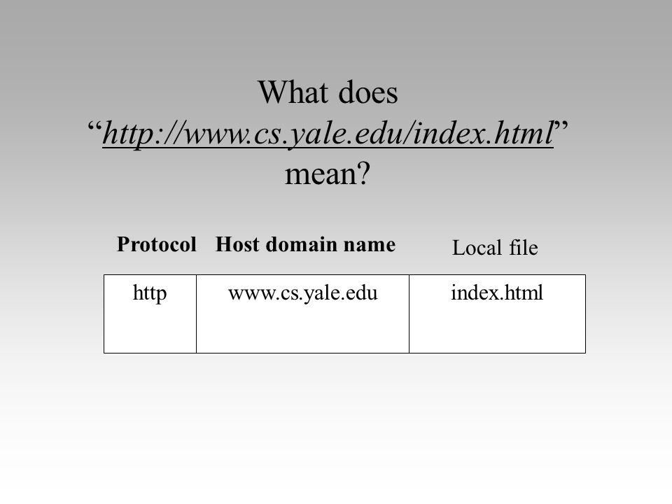 httpwww.cs.yale.eduindex.html ProtocolHost domain name Local file What does     mean