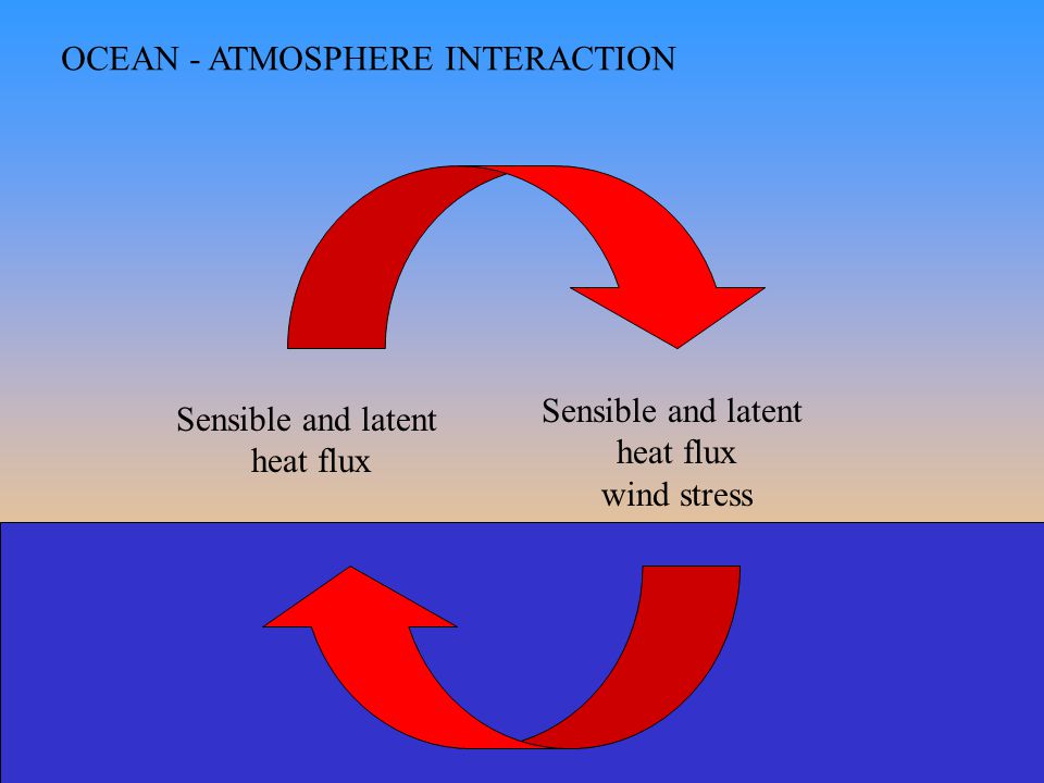 OCEAN - ATMOSPHERE INTERACTION Sensible and latent heat flux Sensible and latent heat flux wind stress