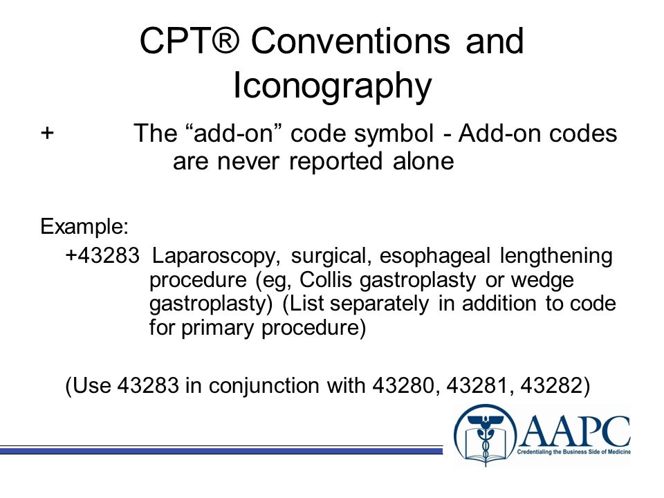 slide_19.jpg