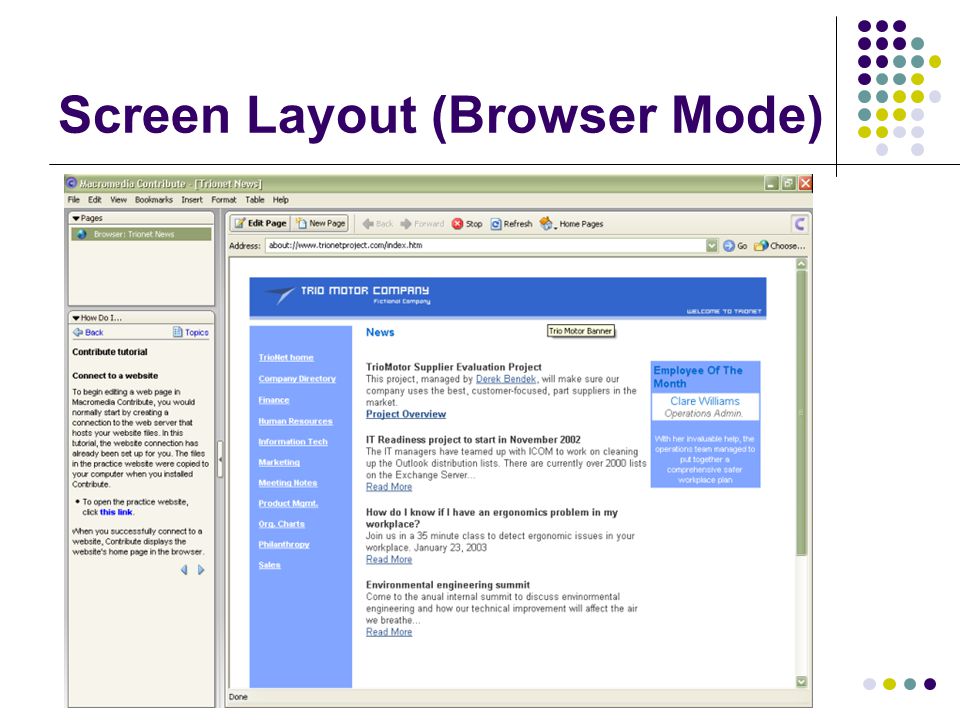 Website Maintenance Demonstration Screen Layout (Browser Mode)