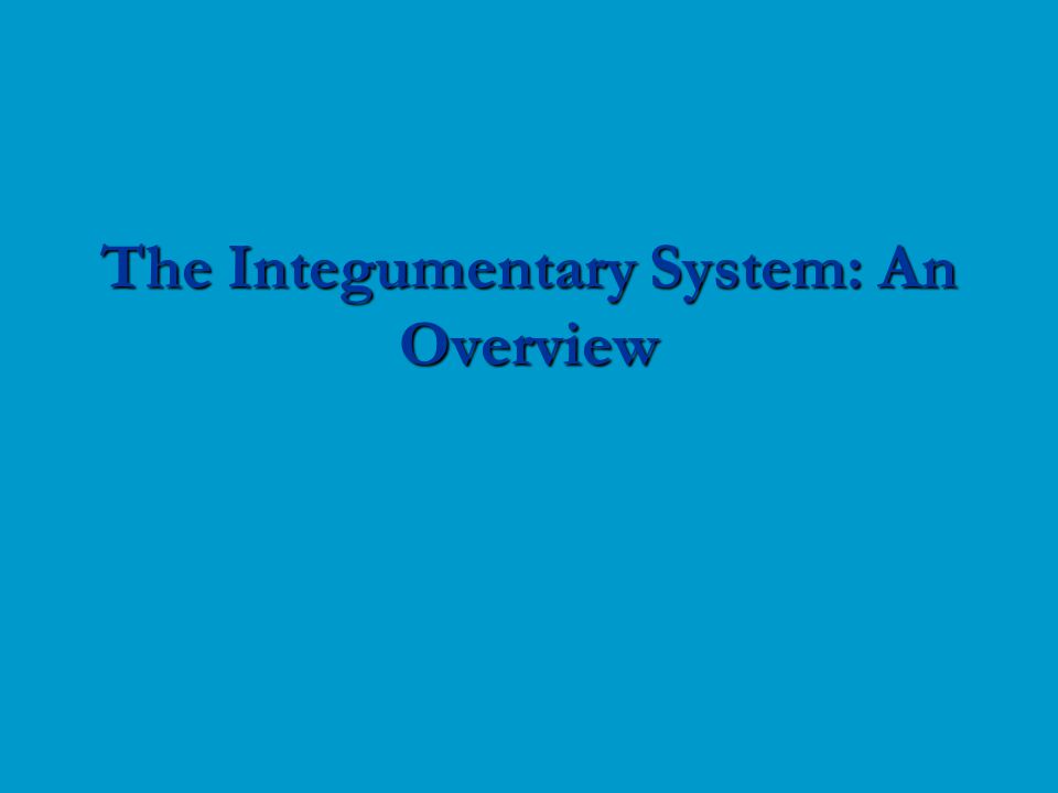 The Integumentary System: An Overview
