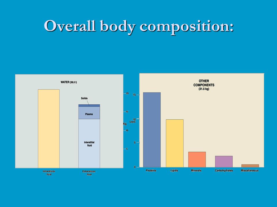 Overall body composition: