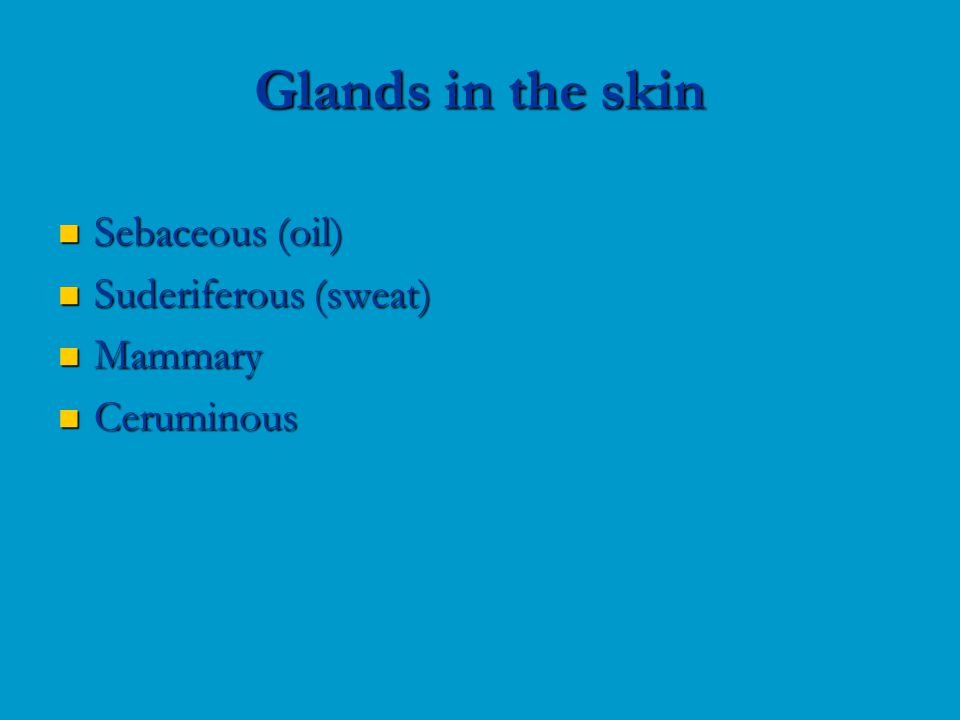 Sebaceous (oil) Sebaceous (oil) Suderiferous (sweat) Suderiferous (sweat) Mammary Mammary Ceruminous Ceruminous Glands in the skin