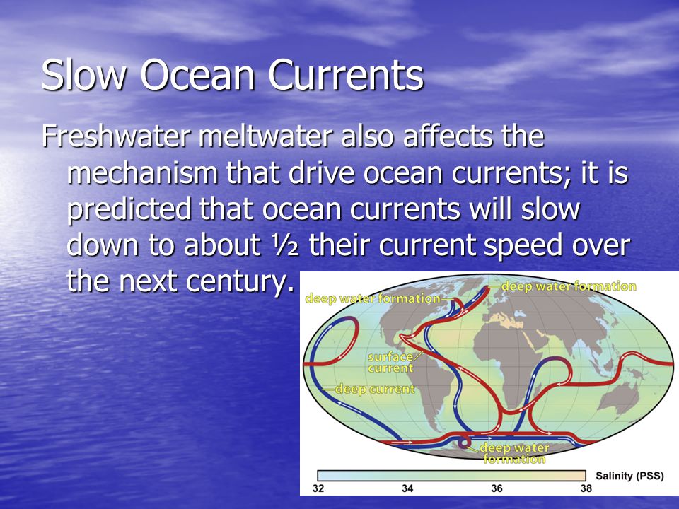 Slow Ocean Currents Freshwater meltwater also affects the mechanism that drive ocean currents; it is predicted that ocean currents will slow down to about ½ their current speed over the next century.