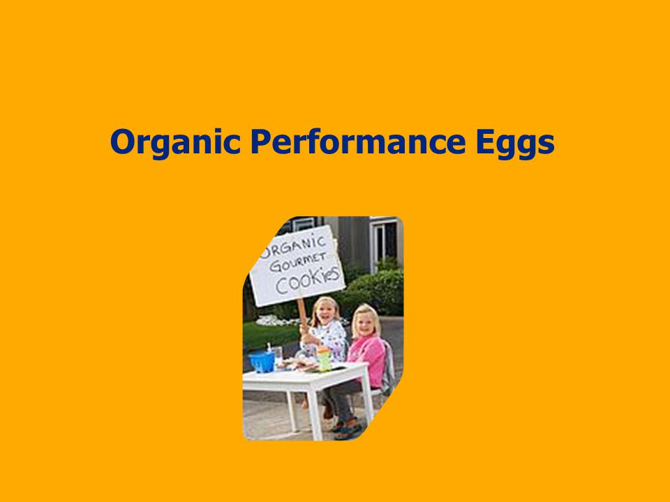 Organic Performance Eggs