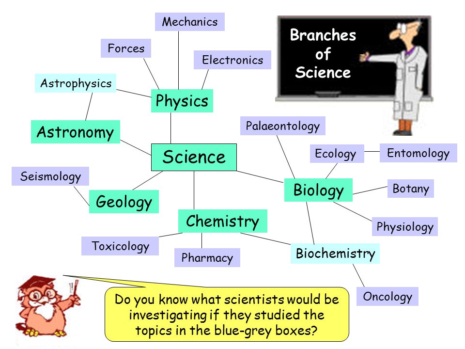Worksheet Branches Of Science explore to kohs science world blog sains january 2017
