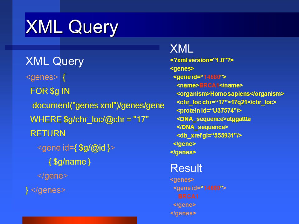 XML Query { FOR $g IN document( genes.xml )/genes/gene WHERE = 17 RETURN { $g/name } } XML BRCA1 Homo sapiens 17q21 atggattta Result BRCA1