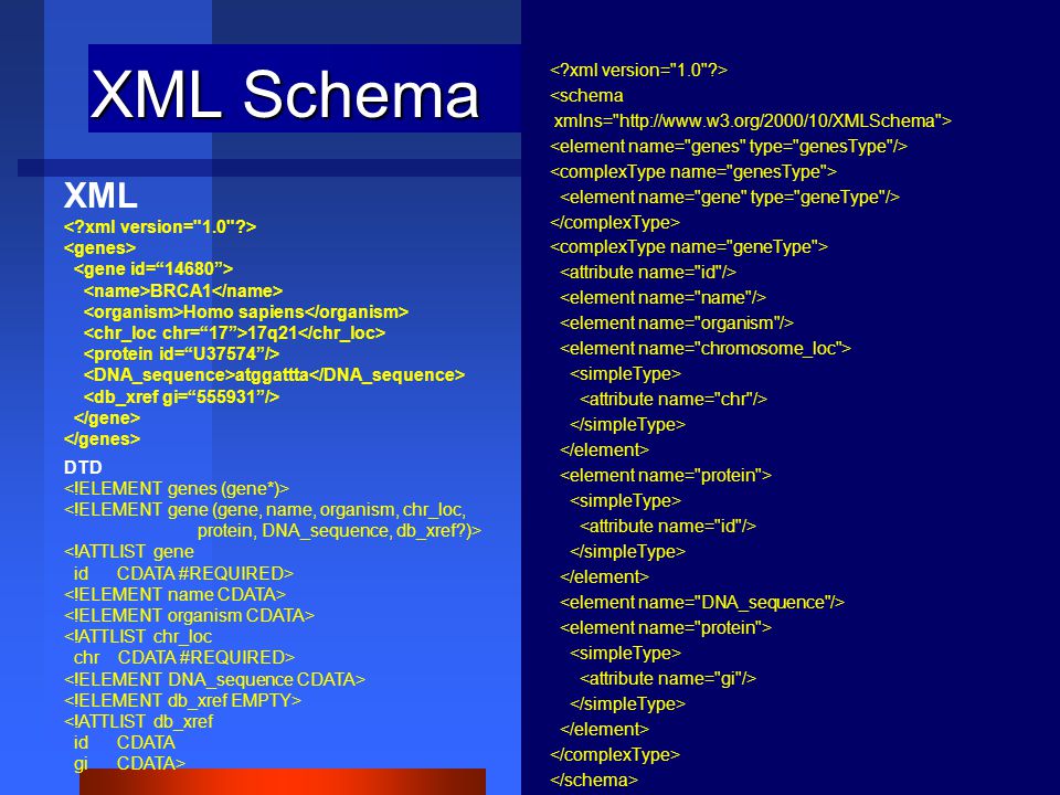 XML Schema <schema xmlns=   > XML BRCA1 Homo sapiens 17q21 atggattta DTD <!ELEMENT gene (gene, name, organism, chr_loc, protein, DNA_sequence, db_xref )> <!ATTLIST gene id CDATA #REQUIRED> <!ATTLIST chr_loc chr CDATA #REQUIRED> <!ATTLIST db_xref id CDATA gi CDATA>