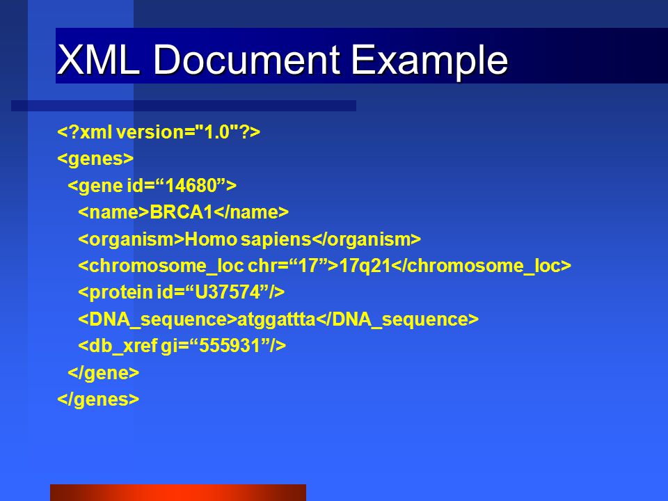 XML Document Example BRCA1 Homo sapiens 17q21 atggattta