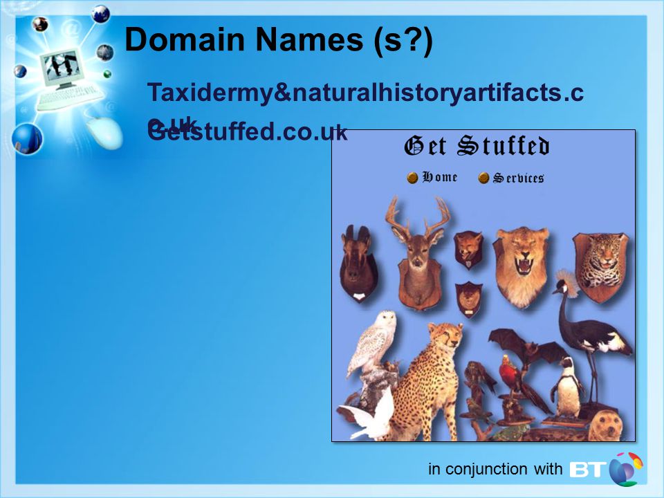 in conjunction with Domain Names (s ) Taxidermy&naturalhistoryartifacts.c o.u k Getstuffed.co.u k