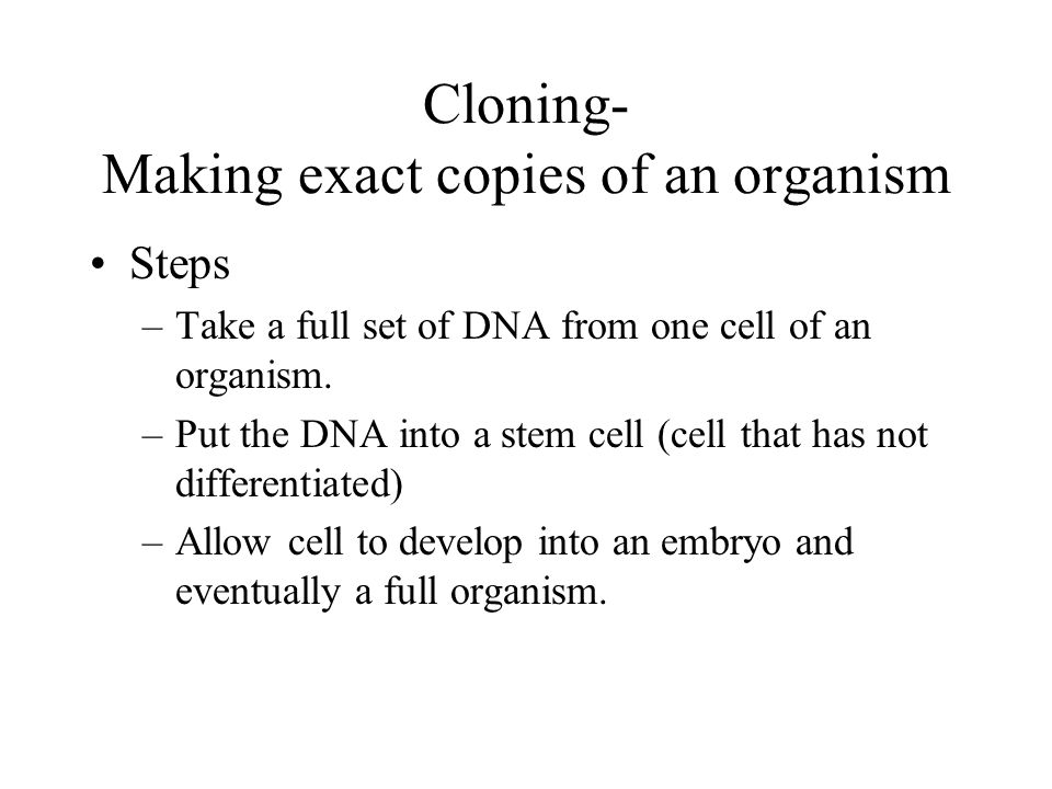 PCR Polymerase Chain Reaction Used to make thousands of copies of one tiny piece of DNA.