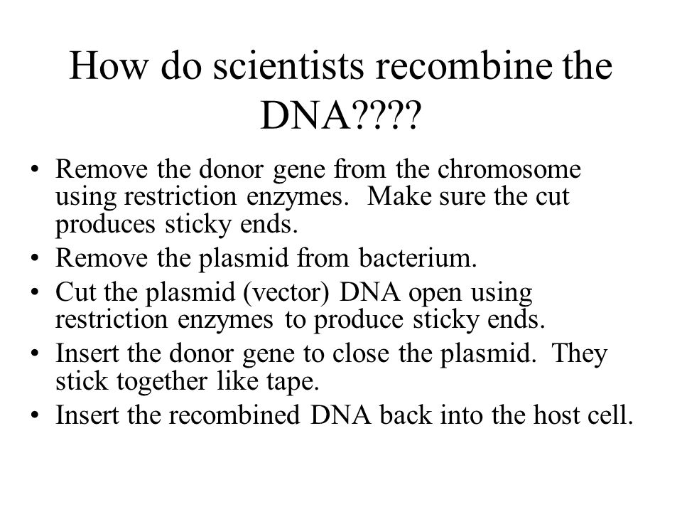 Restriction Enzymes Restriction Enzymes are chemicals that cut DNA.
