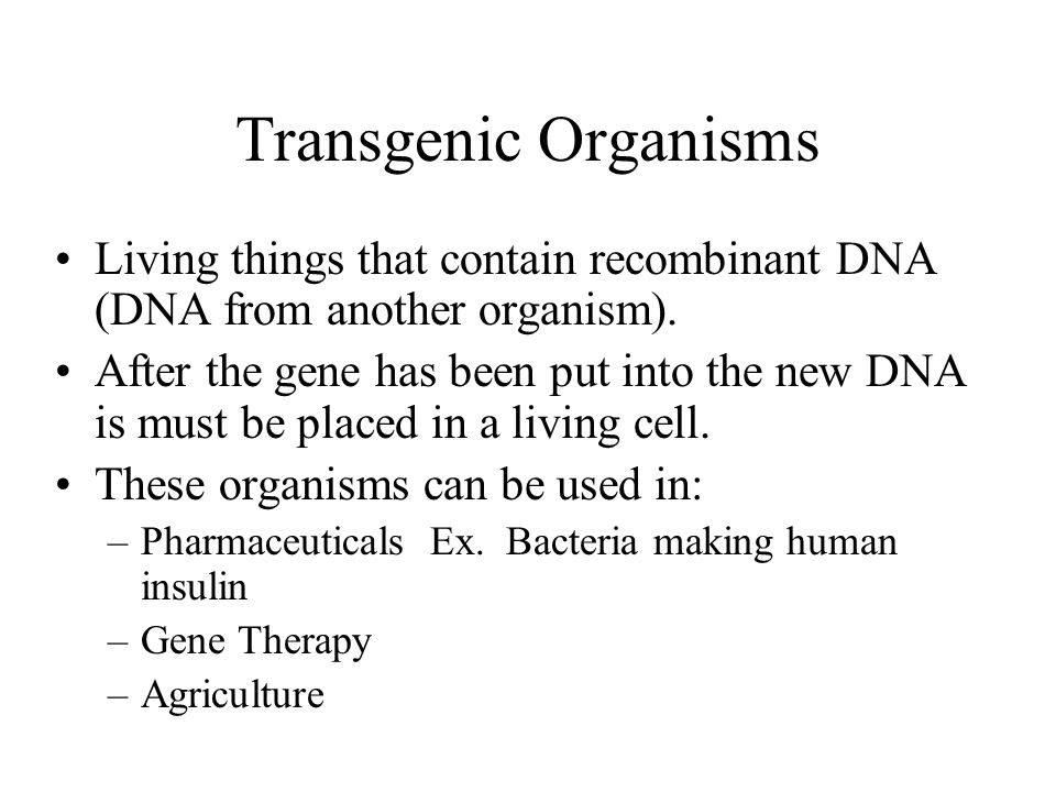 How do scientists recombine the DNA .