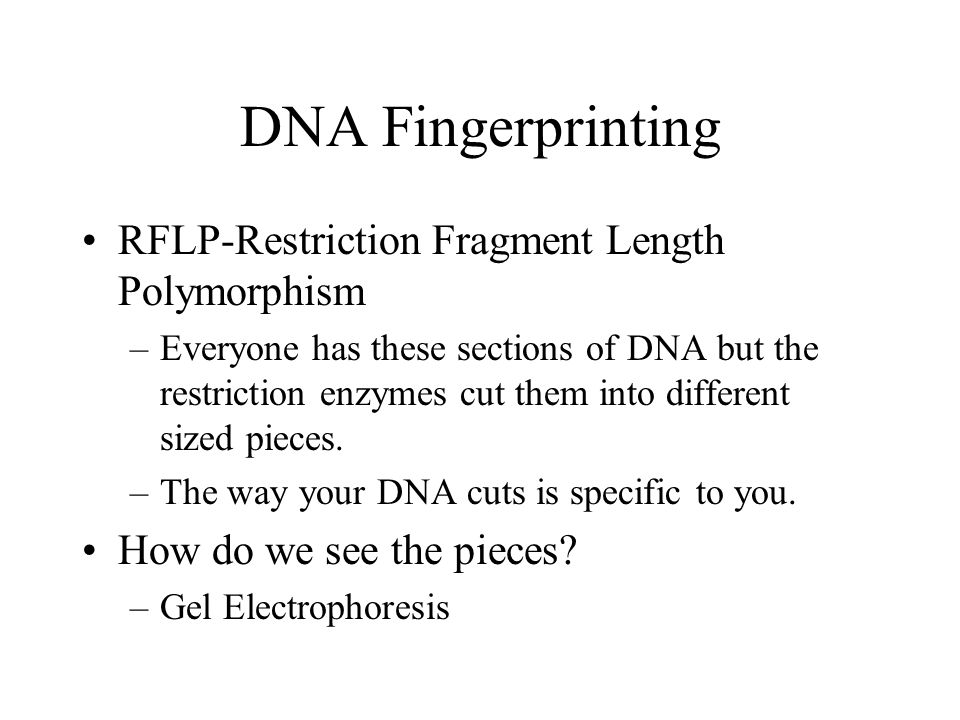 Transgenic Organisms Living things that contain recombinant DNA (DNA from another organism).