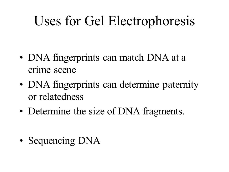 Gel Electrophoresis Separates DNA according to the size of the pieces (fragments) DNA is put into a gelatin like substance and an electric charge is applied.