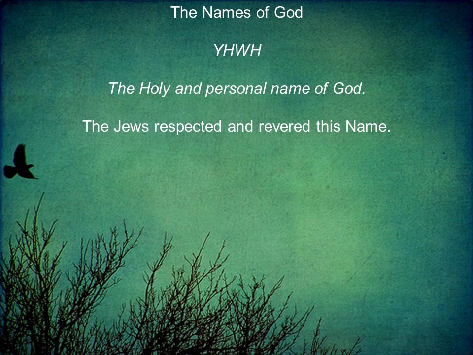 The Names of God YHWH The Holy and personal name of God. The Jews respected and revered this Name.
