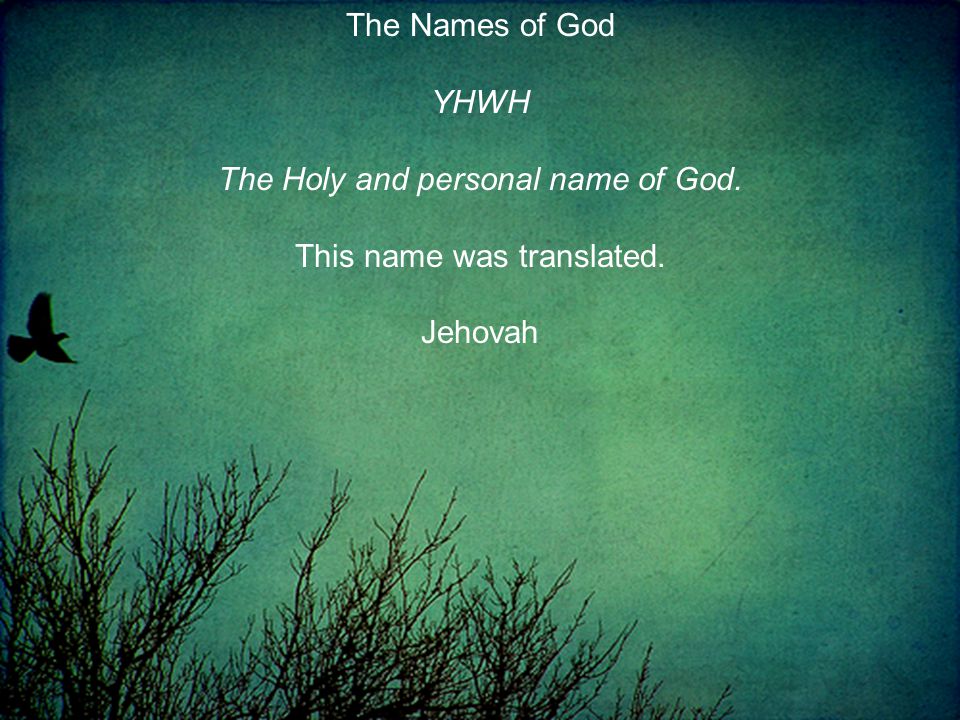 The Names of God YHWH The Holy and personal name of God. This name was translated. Jehovah