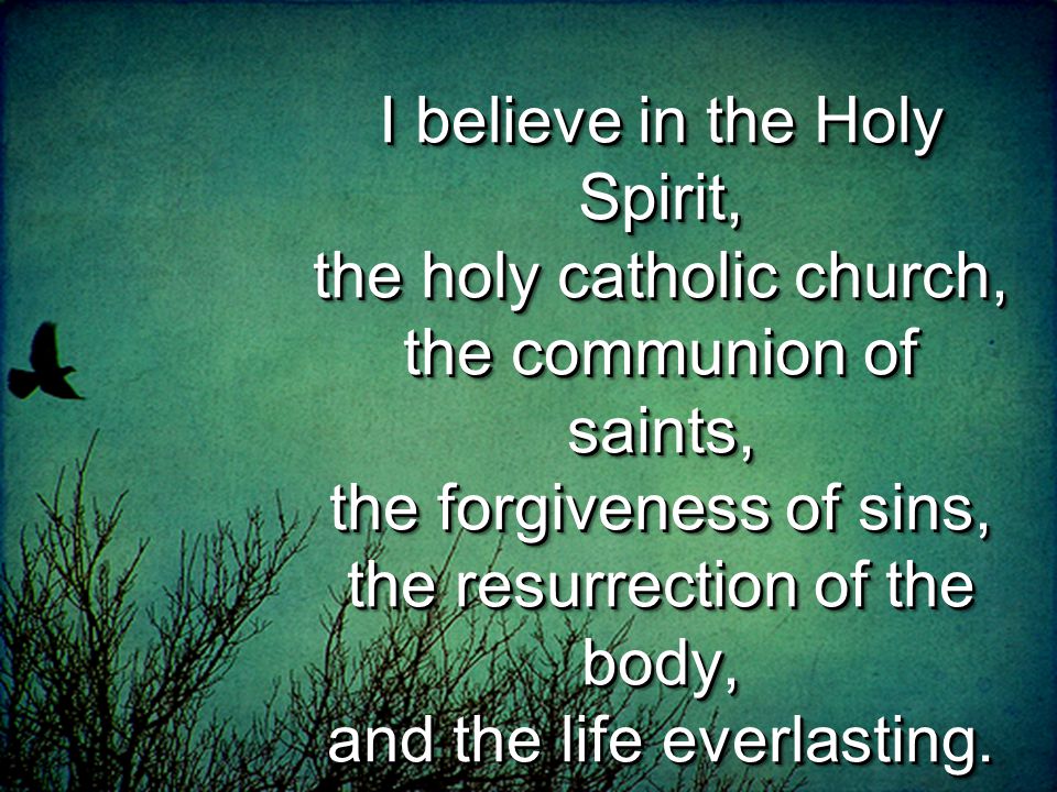 I believe in the Holy Spirit, the holy catholic church, the communion of saints, the forgiveness of sins, the resurrection of the body, and the life everlasting.