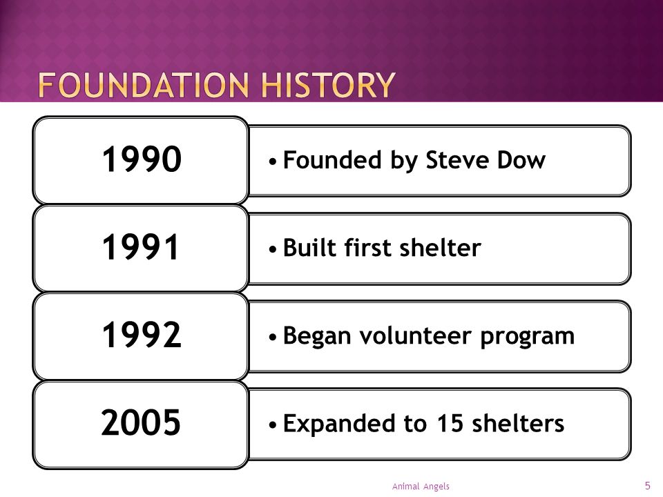 5 Animal Angels Founded by Steve Dow 1990 Built first shelter 1991 Began volunteer program 1992 Expanded to 15 shelters 2005
