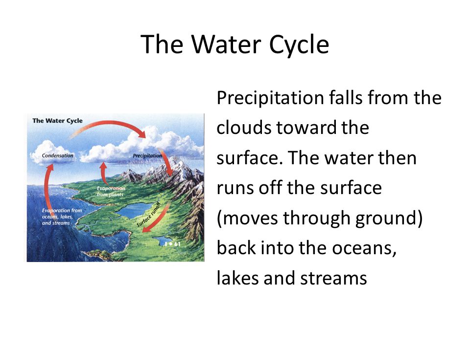 The Water Cycle Precipitation falls from the clouds toward the surface.