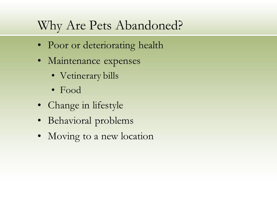 Why Are Pets Abandoned.