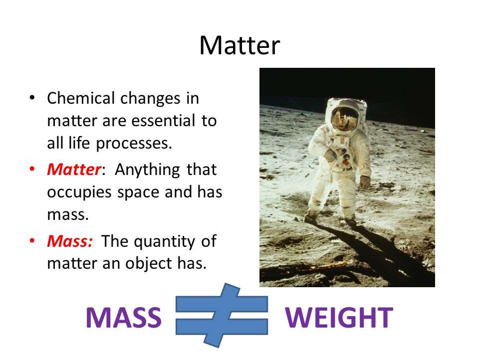 Matter Chemical changes in matter are essential to all life processes.