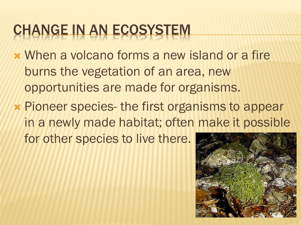  When a volcano forms a new island or a fire burns the vegetation of an area, new opportunities are made for organisms.