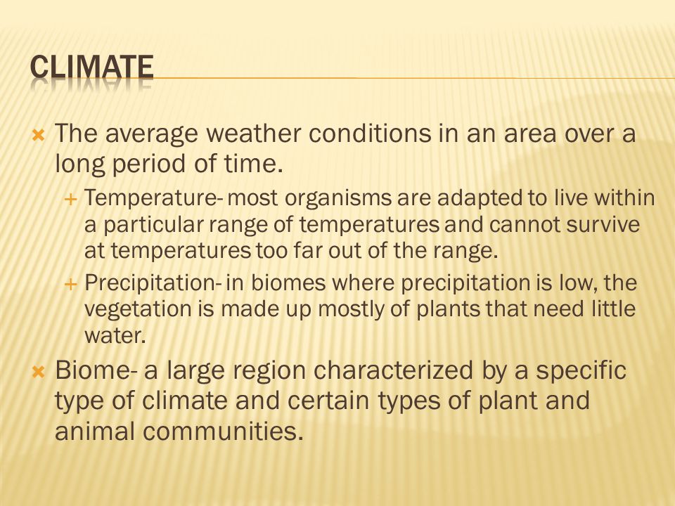  The average weather conditions in an area over a long period of time.