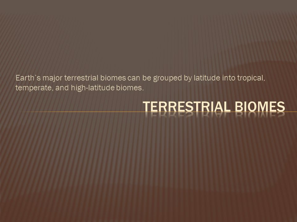 Earth’s major terrestrial biomes can be grouped by latitude into tropical, temperate, and high-latitude biomes.