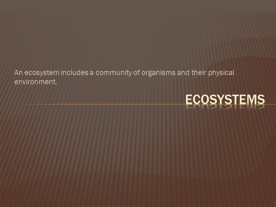 An ecosystem includes a community of organisms and their physical environment.
