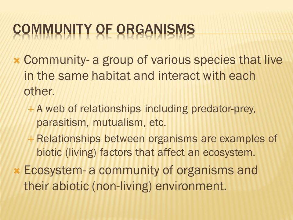  Community- a group of various species that live in the same habitat and interact with each other.