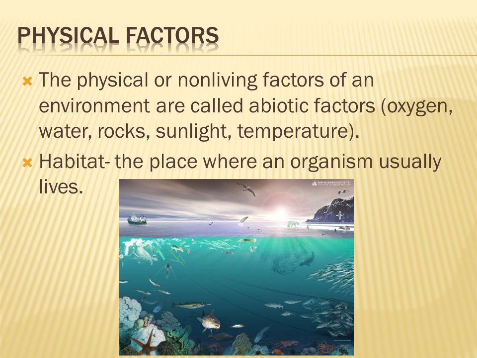  The physical or nonliving factors of an environment are called abiotic factors (oxygen, water, rocks, sunlight, temperature).